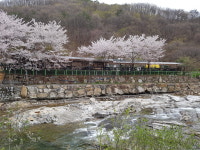 사나래카라반펜션 산내점