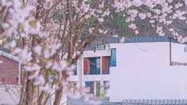 나의 봄 펜션