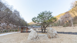 문경힐링휴양촌