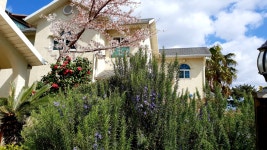 애월 바다 펜션