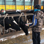 마리동물의료센터