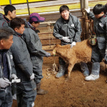 마리동물의료센터