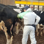 마리동물의료센터