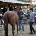 마리동물의료센터