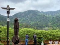 산들바람