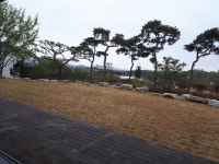 투썸플레이스 평택석정점