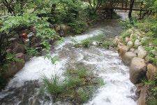 백아산원두막펜션