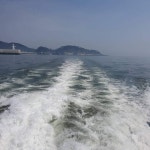 그린민박