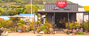 아라