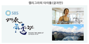 디자인몽