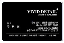 비비드디테일