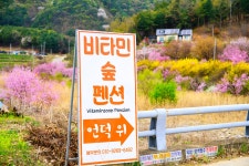 비타민숲