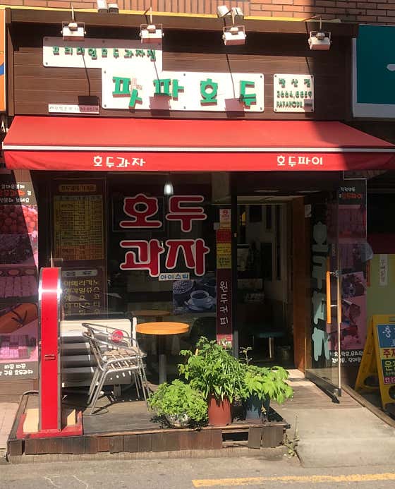 파파호두 발산점 사진