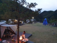 초리포레스트