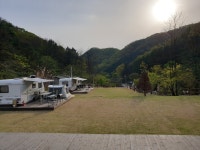 초리포레스트