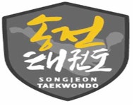 용인대송전태권도장