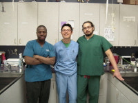 애니컴메디컬센터