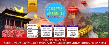 국제드림항공여행사