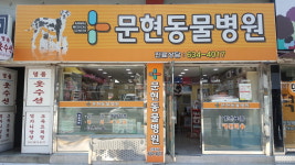 문현동물병원
