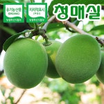 광양참매실농원