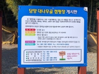 담양대나무골캠핑장