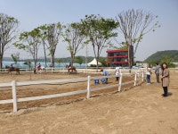 에스라인승마장 한국승마교육원