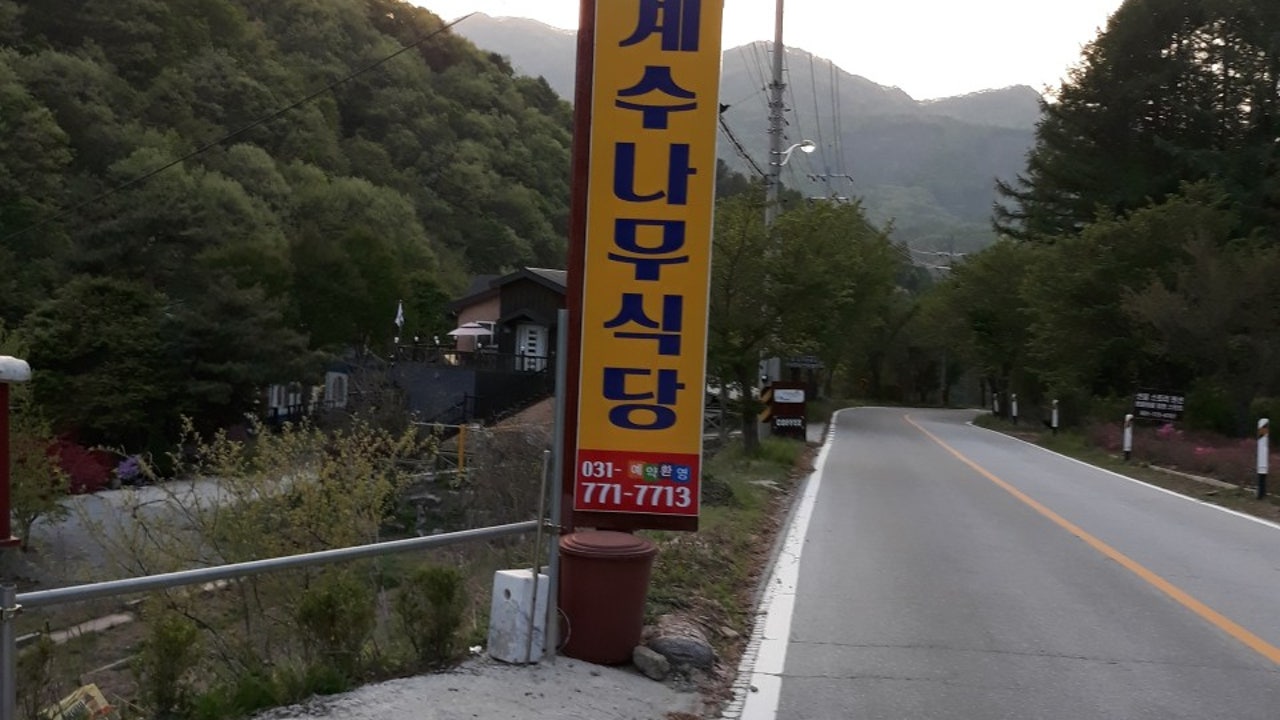 계수나무식당