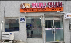 뽀대난멍냥이