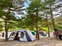 삼척엘림캠핑장