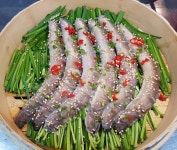 힘센장어 꼼장어