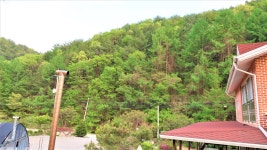 감악산황토방 펜션