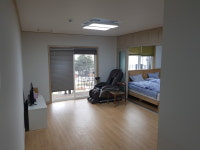 울릉푸른나무
