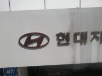 뉴월드스카이