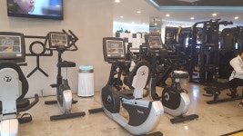 아라피트니스