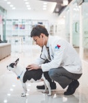 24시 성심 동물 메디컬 센터