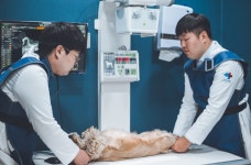 24시 성심 동물 메디컬 센터
