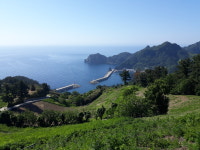 울릉도와독도이야기펜션