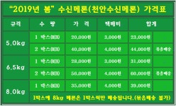 수신메론 늘푸른농장