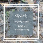 보물섬 다육