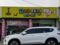 꼬야애견