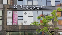 자연앤동물병원