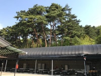 장영펜션