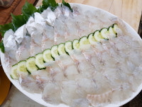 맘모스회센터 21호