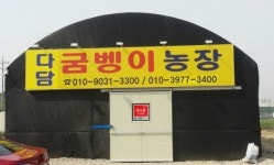 다담굼벵이농장