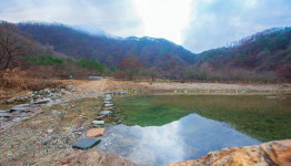 에코팡팡랜드