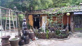 용화산와송농장