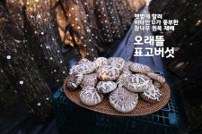 성원영농조합법인