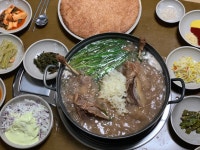 느릅나무집