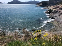 바람의언덕 리조트