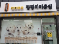 댕댕이 미용실